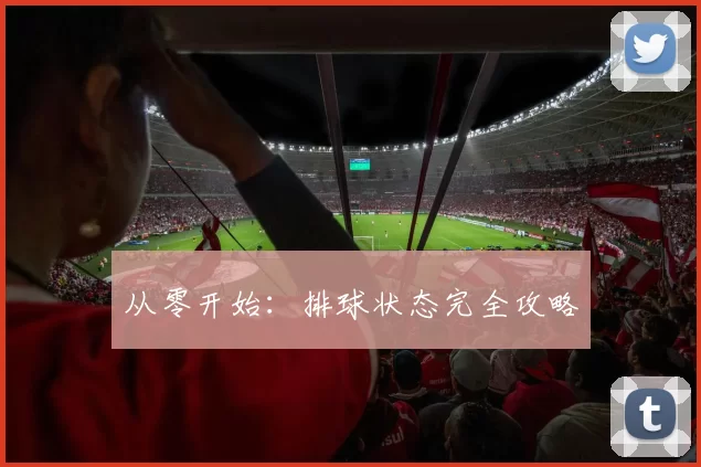 从零开始：排球状态完全攻略