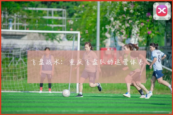 飞盘战术：重庆飞盘队的运营体系