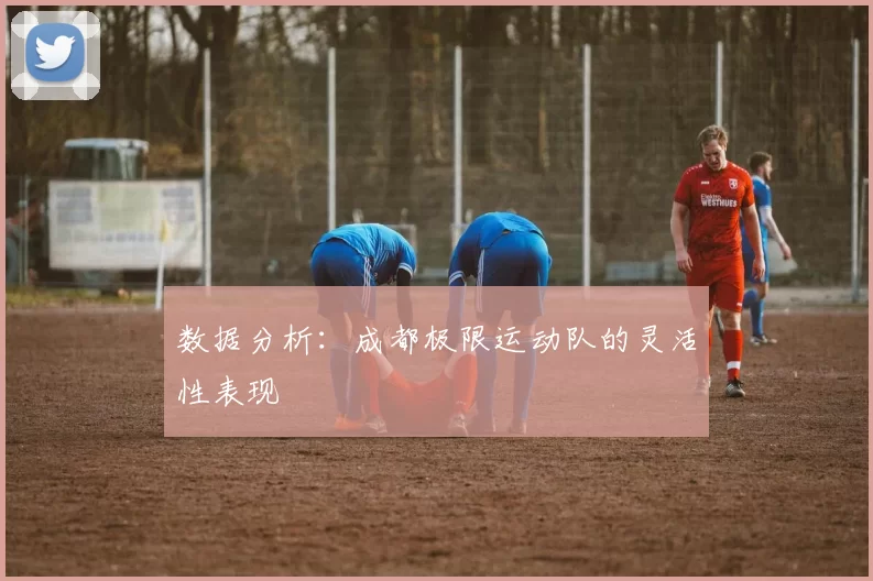 数据分析：成都极限运动队的灵活性表现
